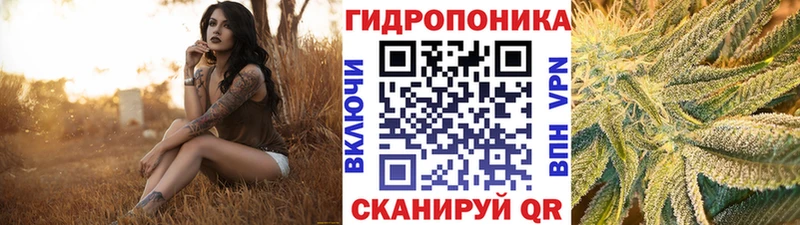 Где продают наркотики Щучье ГАШ Альфа ПВП МЕФ МАРИХУАНА
