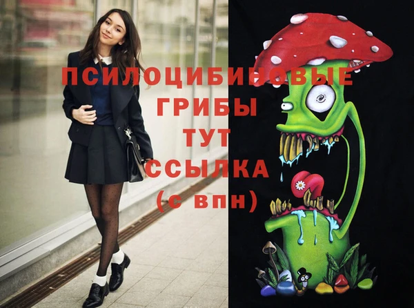 молекула духа Абинск