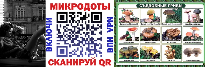 Галлюциногенные грибы Psilocybe  Щучье 